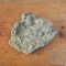 Spirifer elevatus Devonian