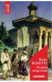 Pacatele sulgeriului - Radu Rosetti