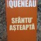SFANTU&#039; ASTEAPTA-RAYMOND QUENEAU