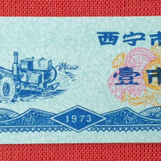 China - 0,1 unitate cupon alimentar 1973 - Bancnota rara UNC