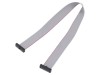 Cablu panglică SAMTEC IDC 10 pini 254mm FFSD-10-D-10.00-01-N
