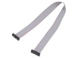 Cablu panglică SAMTEC IDC 10 pini 254mm FFSD-10-D-10.00-01-N