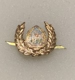 Insigna militară