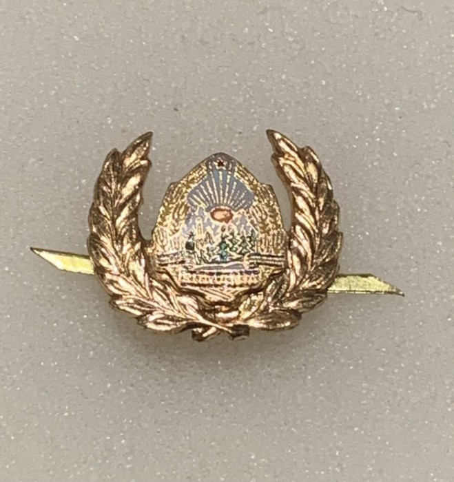 Insigna militară