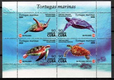 CUBA 2020 FAUNA TESTOASE foto