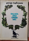 BALADA UNUI GREIER MIC de GEORGE TOPARCEANU , il. AUREL BULACU , 1984