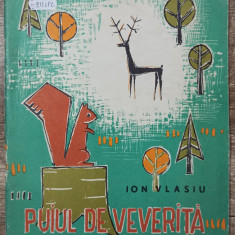 Puiul de veverita - Ion Vlasiu// ilustratii Popovici Constantin