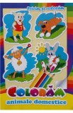 Privim si coloram. Coloram animale domestice
