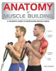 Anatomy of Muscle Building: A Bodybuilder&#039;s Guide to Increasing Muscle Mass