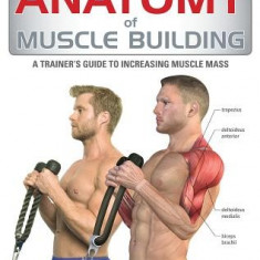 Anatomy of Muscle Building: A Bodybuilder's Guide to Increasing Muscle Mass