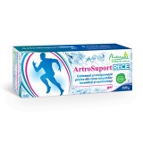 Cumpara ieftin ArtroSuport RECE gel, 100 g, Naturalis