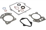 Cumpara ieftin Set garnituri motor Briggs and Straton (Seriile 450, 500, 550 OHV), Taiwan
