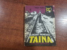 Taina de Lucian Penescu foto