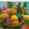 bnk cp Carte postala 3D - Felicitare de paste - Japonia Wonder Co SSP-127