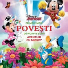 Primele mele povesti de noapte buna. Aventuri cu Mickey