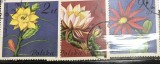 Timbre - Polonia Polska - >50 - Tematica Flori plante