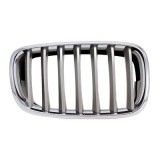 Grila radiator Bmw X5 (E70), 10.2006-04.2010, X6 (E71), 01.08-12.13 stanga, titan, 51137185223, 205105-1, Rapid