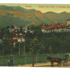 1655 - SINAIA, Prahova, carriage, Romania - old postcard - unused