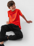Tricou din bumbac organic pentru băieți, 4F Sportswear
