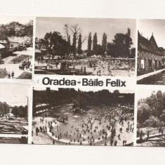 RF34 -Carte Postala-Oradea, Baile Felix, format lung, circulata 1968