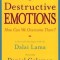 Destructive Emotions: A Scientific Dialogue with the Dalai Lama