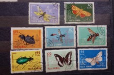 Romania 1964 Lp 580 insecte din fauna țării noastre serie stampilat