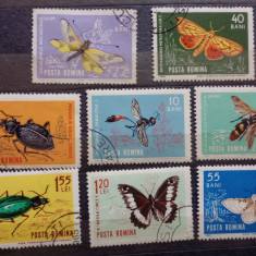 Romania 1964 Lp 580 insecte din fauna țării noastre serie stampilat