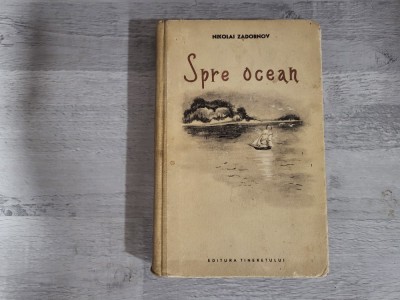 Spre ocean de Nikolai Zadornov foto