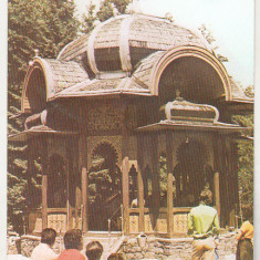 bnk cp Vatra Dornei - Pavilionul din parc - necirculata