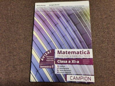 MATEMATICA PROBLEME SI EXERCITII CLASA A XI A BURTEA SEMESTRUL I TEHNOLOGIC foto