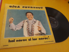 VINIL GICA PETRESCU HAI NOROC SI IAR NOROC EDE 01902 foto