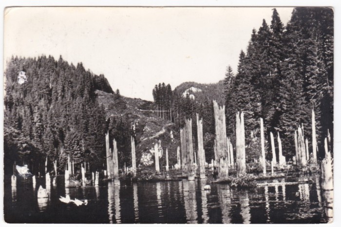 AS - ILUSTRATA 1179, LACUL ROSU - VEDERE, ANUL 1958, cu perforari