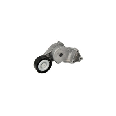 Intinzator curea VW BORA combi 1J6 BTA E2W0019BTA foto