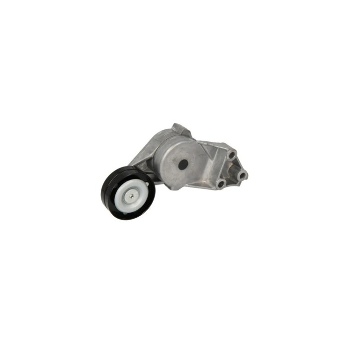 Intinzator curea SKODA OCTAVIA 1U2 BTA E2W0019BTA