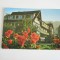 QW27 T - Carte postala - tematica turism - vedere - Romania - Timisul de jos 1