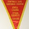 Fanion meci fotbal STEAUA Bucuresti - BENFICA 20.04.1988 CCE (dim. 39x29 cm)-nu este original