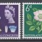 Marea Britanie 1964 - Flori - Al 10-lea Congres Botanic Internațional, Edinburgh, MNH