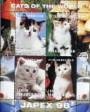 TURKMENISTAN- PISICI-1 COLITA-MNH** -TU PLR 41, Asia, Fauna