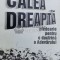Calea dreapta - 1996 - Iulian Chifu ($Y110)