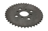 Pinion spate 428, 40 dinti, 40.5x60mm, Bashan, Inparts