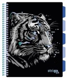 Caiet cu Spirala si Separatoare Strigo Pads Project Book TIGRU A4, Matematica