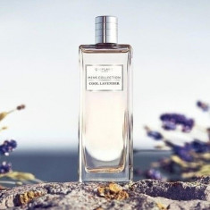 Cool Lavender Oriflame sigilat original foto