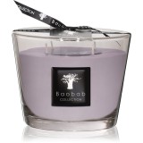 Baobab Collection All Seasons White Rhino lum&acirc;nare parfumată 500 g