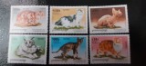 Cambodgia-Fauna,pisici domestice-serie completa,nestampilate MNH (C1), Nestampilat