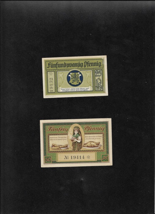 Set Notgeld 25 + 50 pf Leutenberg