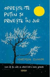 Opreste-te putin si priveste in jur - Haemin Sunim