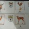 Burkina Faso-Fauna -set complet FDC