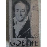 GOETHE-TUDOR VIANU-235737