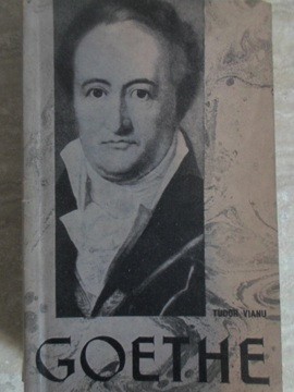 GOETHE-TUDOR VIANU-235737 foto