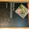 Tipologia presei romanesti - Marian Petcu (Institutul European, 2000)